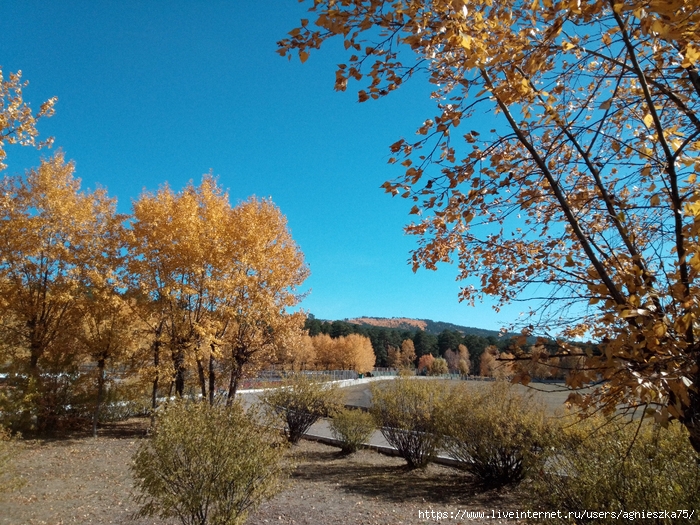 IMG_2024-09-25-13-49-20-906 (700x525, 439Kb)