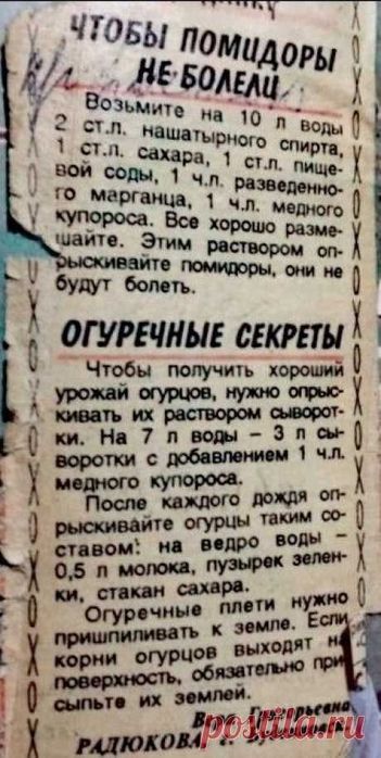  (351x700, 63Kb)