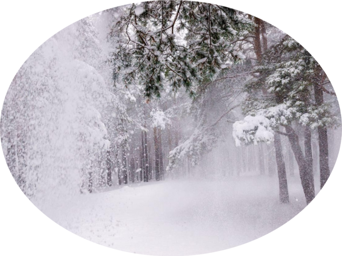 image_cropper_771264310832924f782006d783c24b42_67961bdfaa2b6 (700x524, 478Kb)
