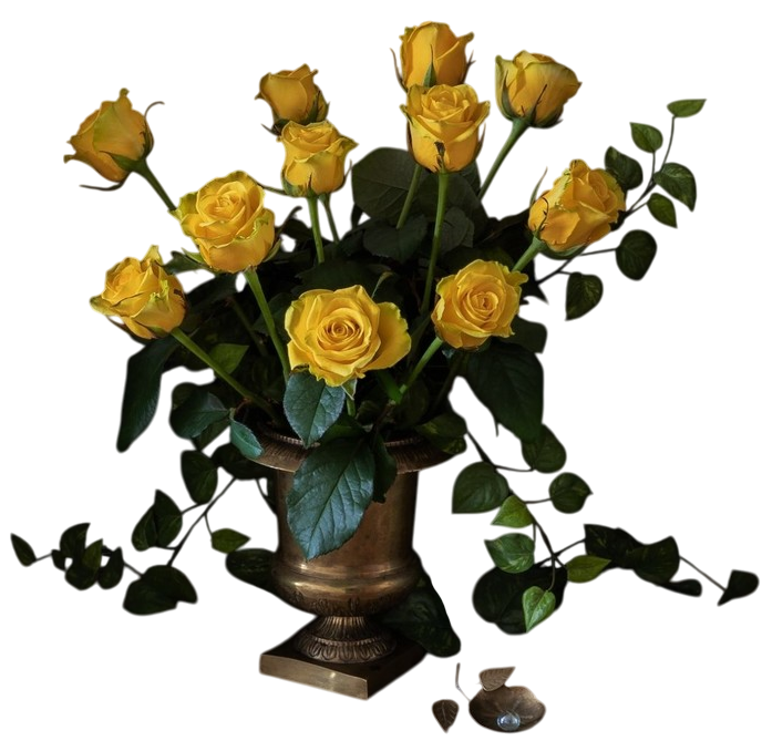 163686354_2398625-Photoroom (688x669, 448Kb)