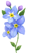 613889664 (96x176, 7Kb)