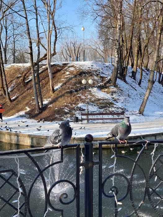20250208_141841 (525x700, 583Kb)