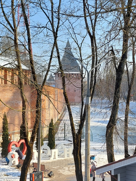 20250208_150202 (525x700, 605Kb)