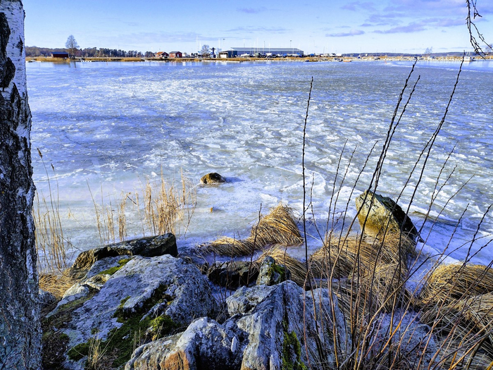 IMG_20250214_140017702_HDR (700x525, 564Kb)