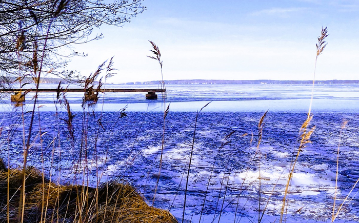 IMG_20250216_144532995_HDR (700x435, 482Kb)