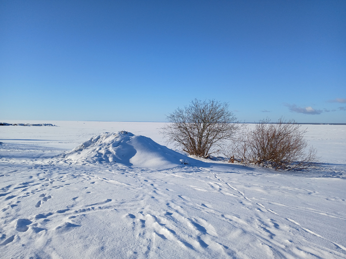 20250219_150326 (700x525, 392Kb)