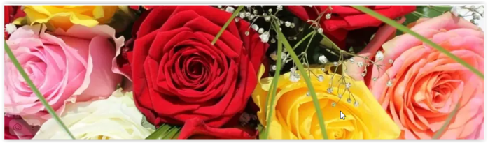 3925073_Screen_Shot_022525_at_02_56_AM (700x205, 257Kb)