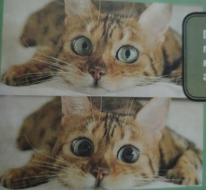   (700x647, 348Kb)