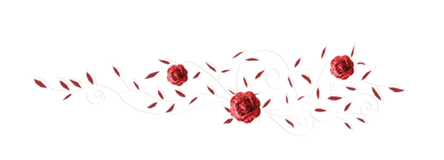 A-160 (250x90, 28Kb)