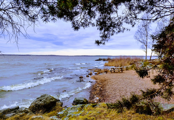 IMG_20250302_130309132_HDR (700x482, 511Kb)