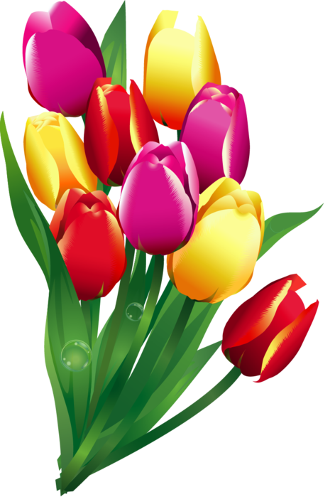 Romantic%20Valentine%20Day%20Theme%20background%20vector%2004%20[]1 (472x700, 209Kb)