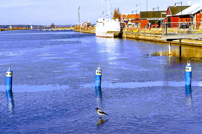 IMG_20250303_134658315_HDR (700x466, 446Kb)