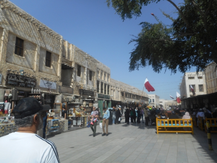 4878453_ttDSCN0499 (700x525, 266Kb)
