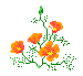 77525916_002 (75x69, 0Kb)