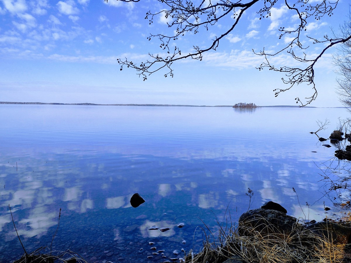 IMG_20250309_142351558_HDR (700x525, 413Kb)