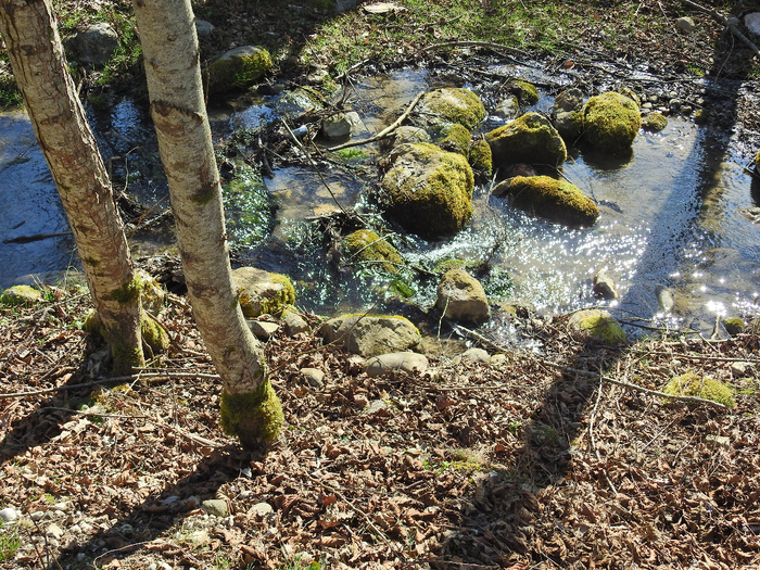 DSCN1855 (700x525, 691Kb)