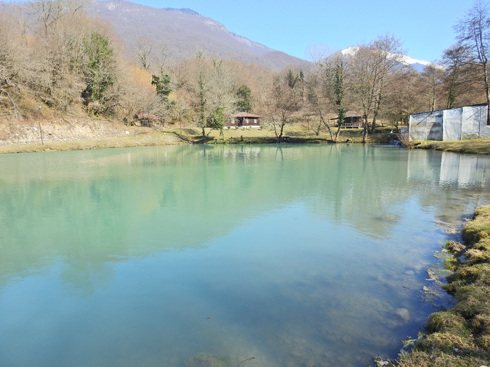DSCN1857 (700x525, 441Kb)