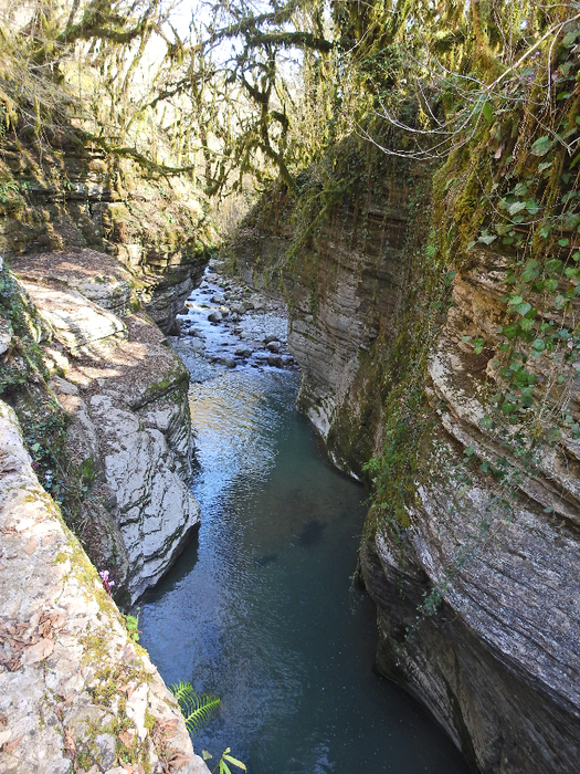 DSCN1865 (525x700, 625Kb)
