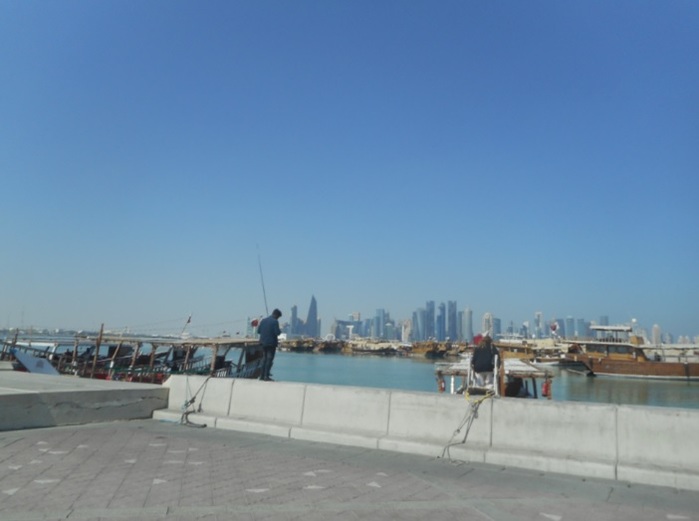 4878453_DSCN9880tkat (700x521, 54Kb)