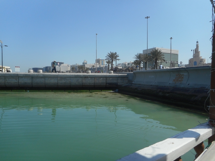 4878453_ccDSCN9883 (700x525, 202Kb)