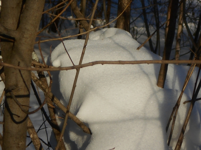 4533467_DSCN71681 (700x525, 247Kb)