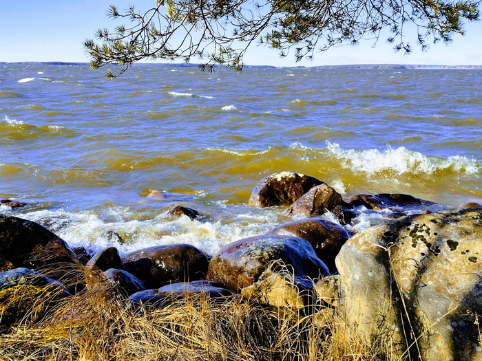 IMG_20250316_142434053_HDR (700x525, 607Kb)