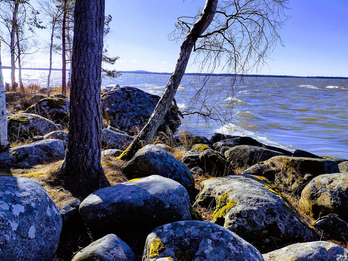 IMG_20250316_142203278_HDR (700x525, 543Kb)