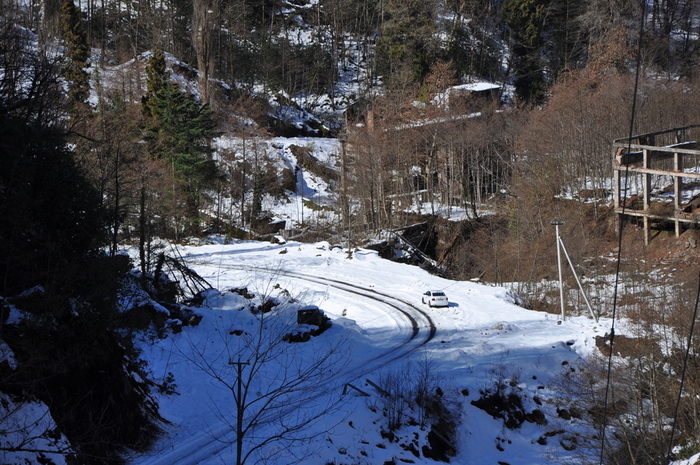 DSC_6498 (700x465, 243Kb)
