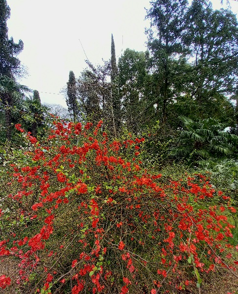 20250320_112212 (486x601, 214Kb)