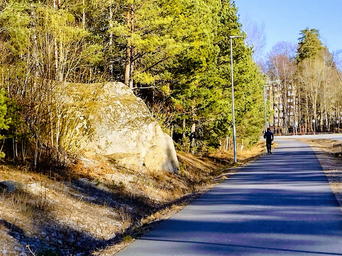 IMG_20250322_155538583_HDR (700x525, 625Kb)