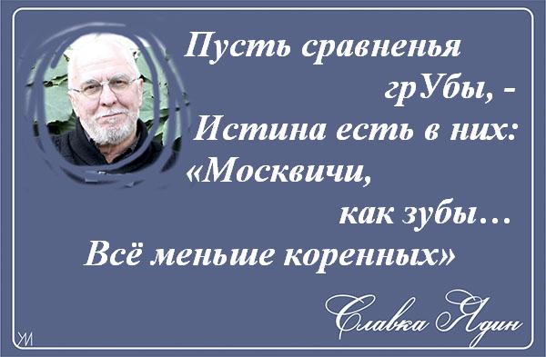    (600x393, 48Kb)