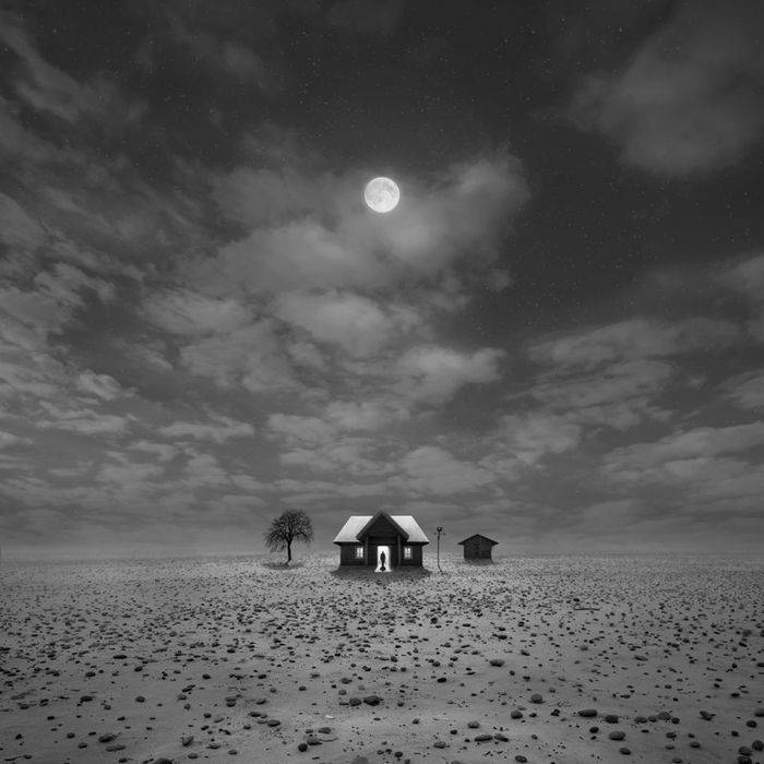 Dariusz Klimczak 2 (700x700, 56Kb)