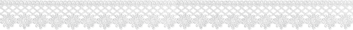 pdr16 (700x60, 70Kb)