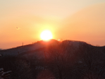  DSCN0434 (700x525, 259Kb)