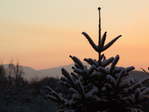  DSCN0442 (700x525, 299Kb)