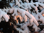  DSCN0445 (700x525, 427Kb)