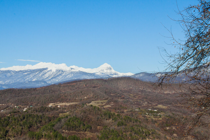 IMG_0379 (700x466, 416Kb)