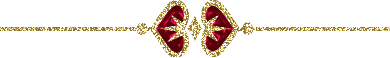 63839108_3719254_lijn247qa2su (390x58, 11Kb)