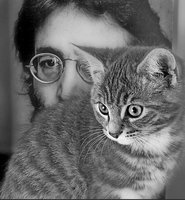 2222299_lennon7min (645x700, 273Kb)