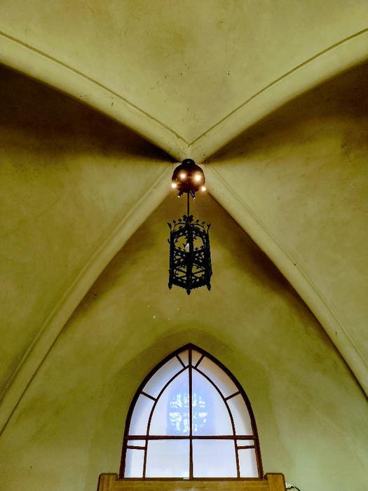 IMG_20250328_141753187_HDR (525x700, 390Kb)