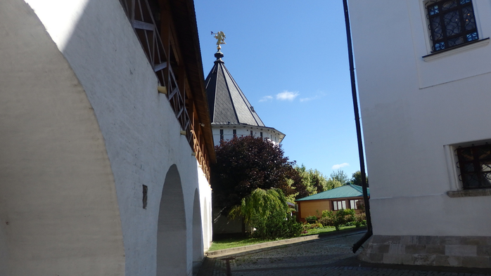P6220545 (700x393, 240Kb)