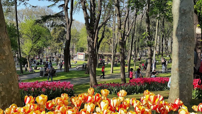 Gulhane_Park_Istanbul (900x593, 172Kb)