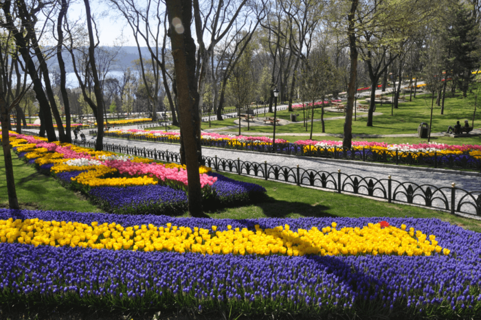 Emirgan-Park-during-Tulip-Festival (900x666, 694Kb)