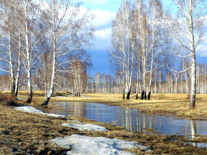 Сергей Тюменцев (700x525, 525Kb)