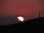 DSCN0547 (700x525, 185Kb)