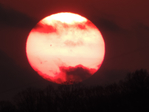  DSCN0553 (700x525, 217Kb)