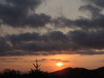  DSCN0587 (700x525, 264Kb)