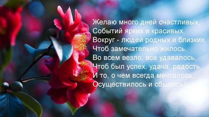 images_7653 (700x393, 192Kb)