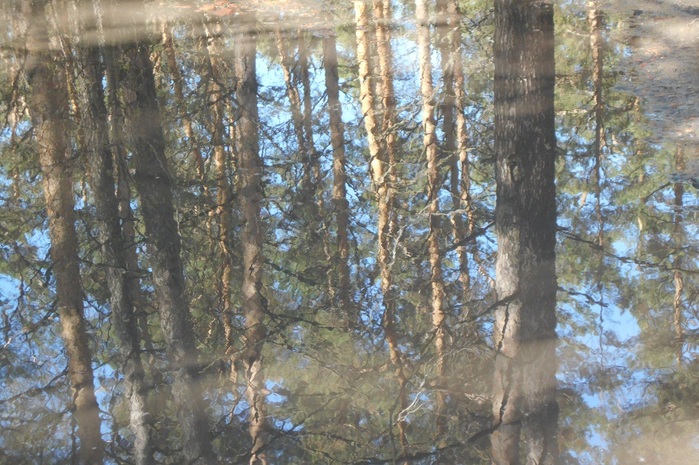 4533467_DSCN74681 (700x465, 163Kb)