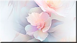 .... (300x169, 9Kb)